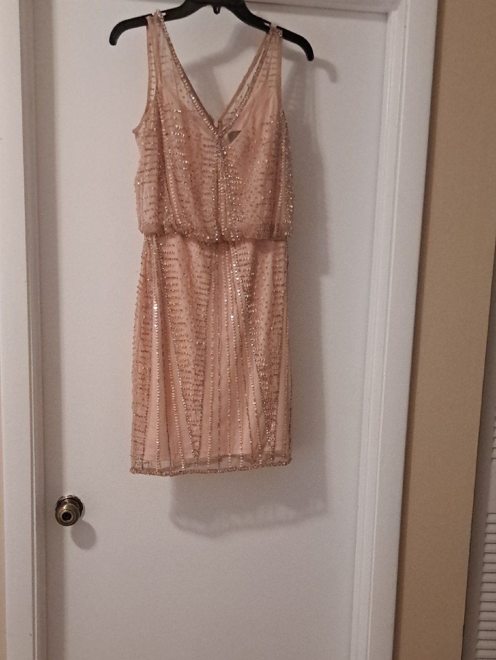 Adrianna Papell Blush Sequin Trim V-Neck Dress